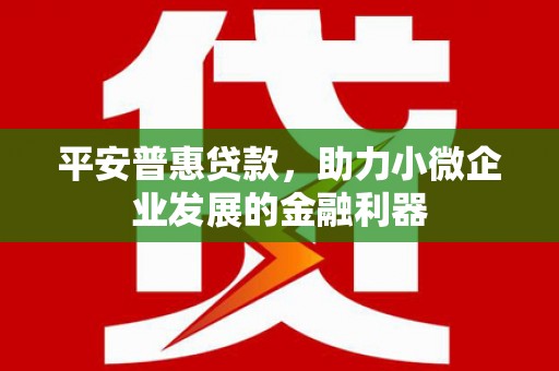 惠济平安普惠贷款，助力小微企业发展的金融利器