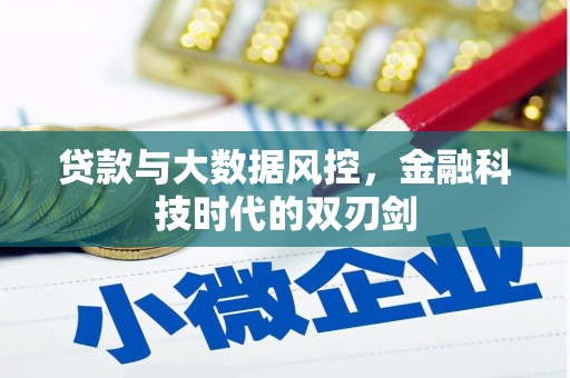 惠济贷款与大数据风控，金融科技时代的双刃剑