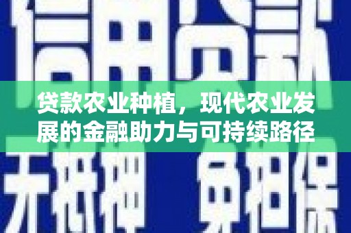 惠济贷款农业种植，现代农业发展的金融助力与可持续路径