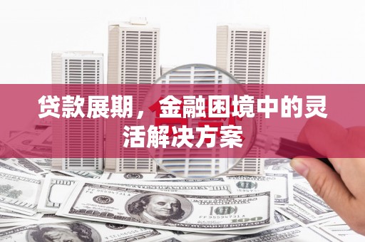 惠济贷款展期，金融困境中的灵活解决方案