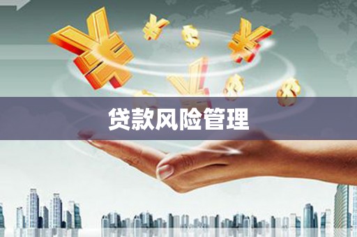 惠济贷款风险管理