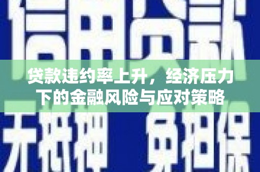 惠济贷款违约率上升，经济压力下的金融风险与应对策略