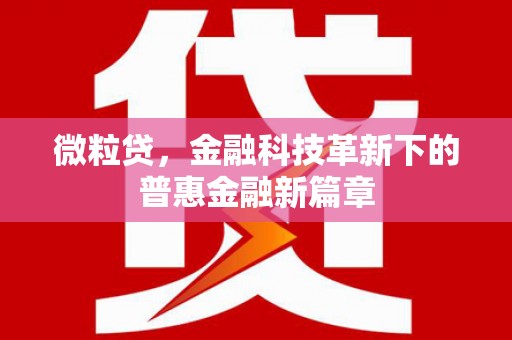 惠济微粒贷，金融科技革新下的普惠金融新篇章