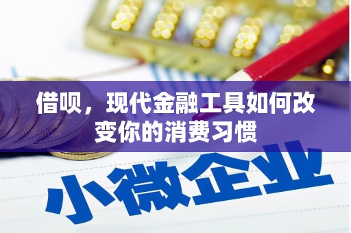 惠济借呗，现代金融工具如何改变你的消费习惯