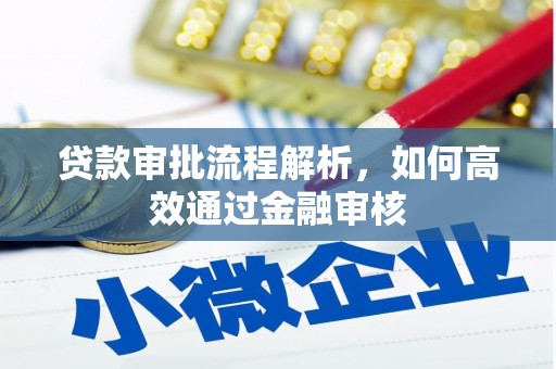惠济贷款审批流程解析，如何高效通过金融审核