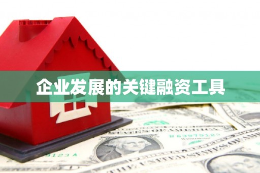 惠济企业发展的关键融资工具