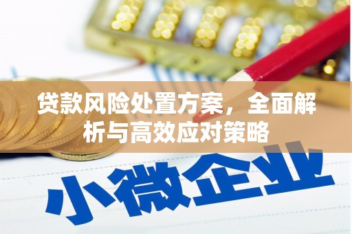 惠济贷款风险处置方案，全面解析与高效应对策略