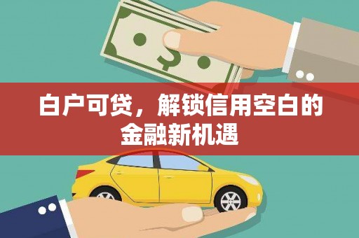 惠济白户可贷，解锁信用空白的金融新机遇