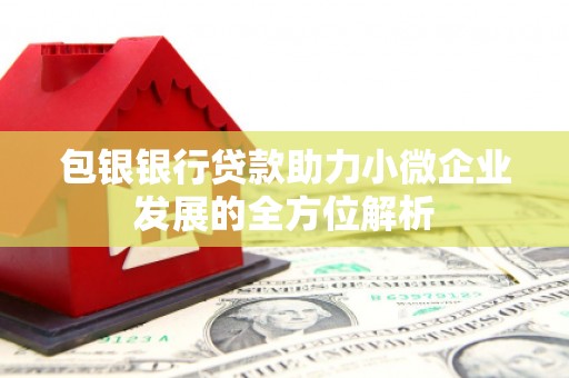 惠济包银银行贷款助力小微企业发展的全方位解析