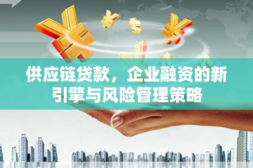 惠济供应链贷款，企业融资的新引擎与风险管理策略