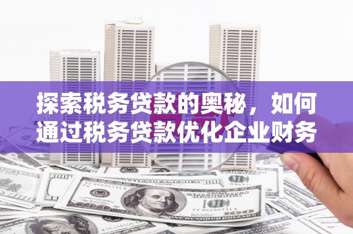 惠济探索税务贷款的奥秘，如何通过税务贷款优化企业财务