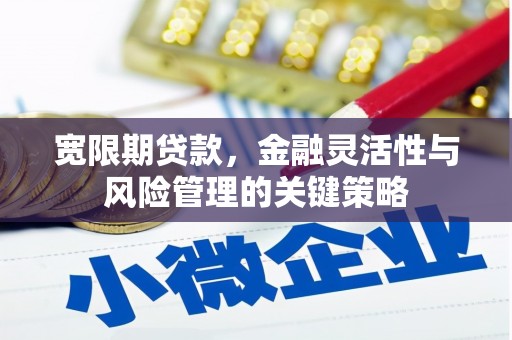 惠济宽限期贷款，金融灵活性与风险管理的关键策略