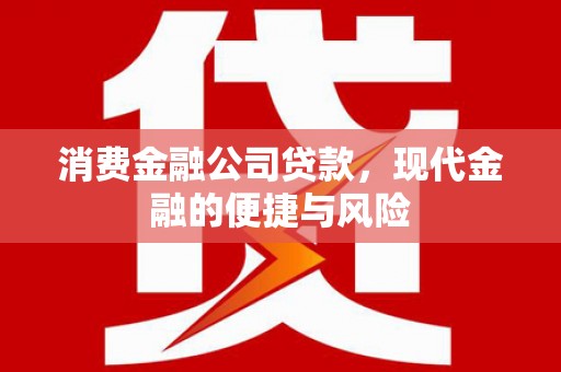 惠济消费金融公司贷款，现代金融的便捷与风险