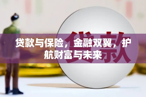 惠济贷款与保险，金融双翼，护航财富与未来