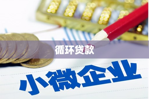 惠济循环贷款