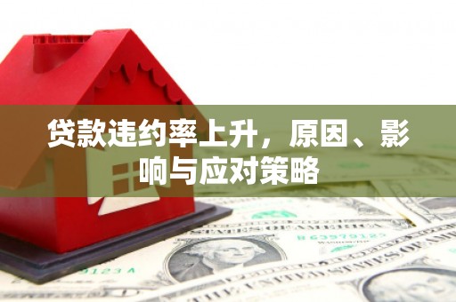 惠济贷款违约率上升，原因、影响与应对策略