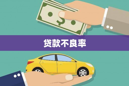 惠济贷款不良率