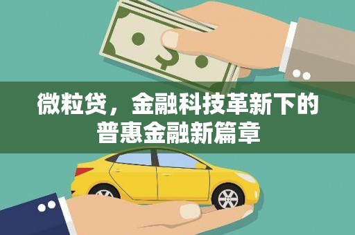 惠济微粒贷，金融科技革新下的普惠金融新篇章