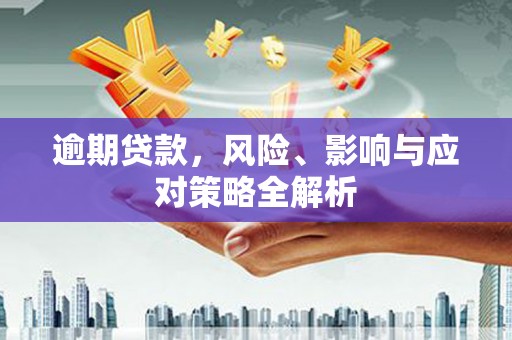 惠济逾期贷款，风险、影响与应对策略全解析