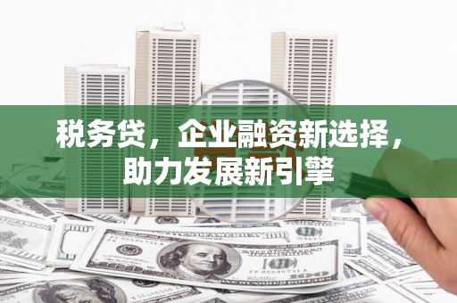 惠济税务贷，企业融资新选择，助力发展新引擎