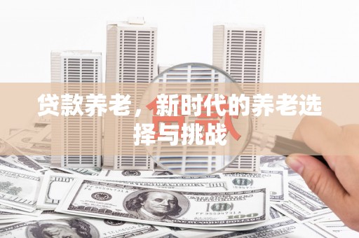 惠济贷款养老，新时代的养老选择与挑战