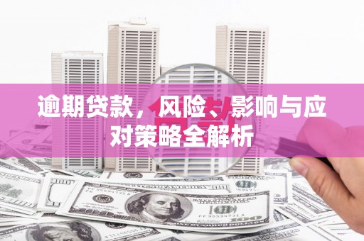 惠济逾期贷款，风险、影响与应对策略全解析