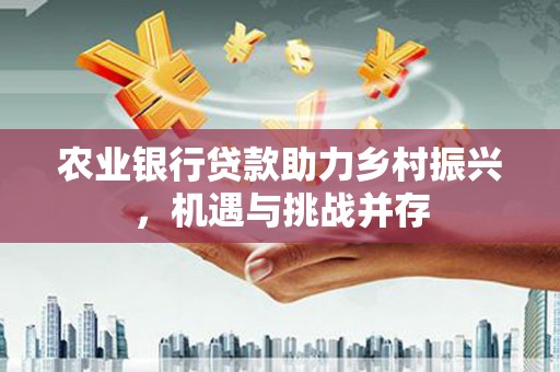 惠济农业银行贷款助力乡村振兴，机遇与挑战并存