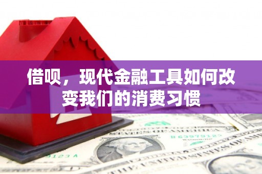 惠济借呗，现代金融工具如何改变我们的消费习惯