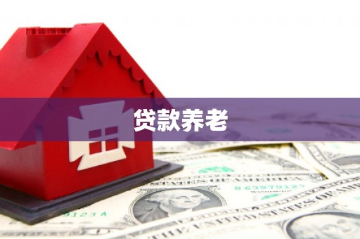 惠济贷款养老