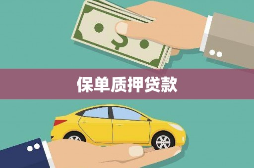 惠济保单质押贷款