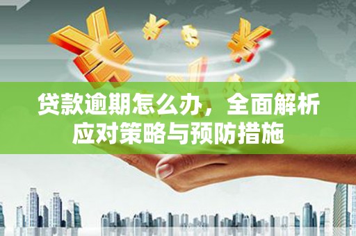 惠济贷款逾期怎么办，全面解析应对策略与预防措施