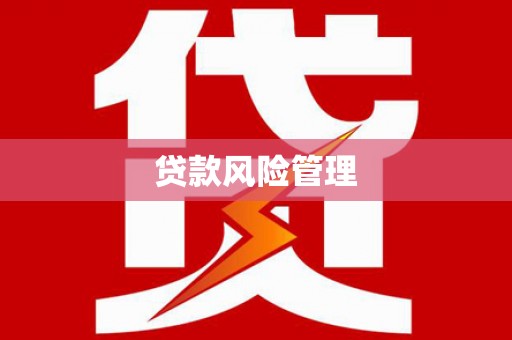 惠济贷款风险管理