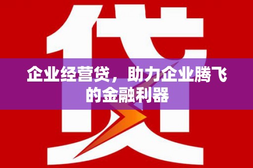 惠济企业经营贷，助力企业腾飞的金融利器