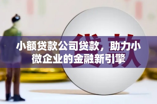惠济小额贷款公司贷款，助力小微企业的金融新引擎