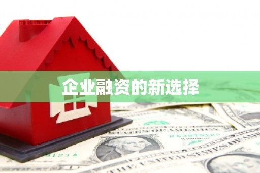 惠济企业融资的新选择