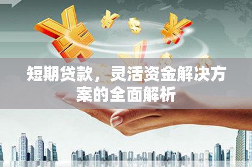 惠济短期贷款，灵活资金解决方案的全面解析