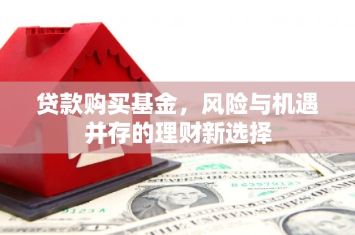 惠济贷款购买基金，风险与机遇并存的理财新选择