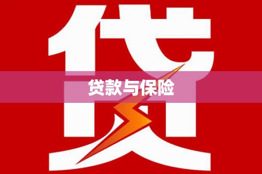 惠济贷款与保险