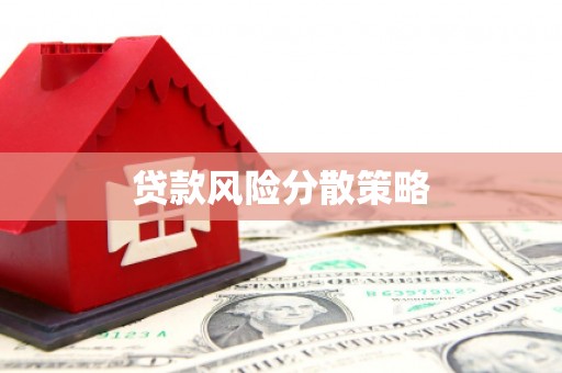 惠济贷款风险分散策略