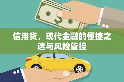 惠济信用贷，现代金融的便捷之选与风险管控