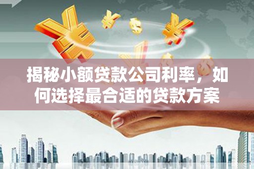 惠济揭秘小额贷款公司利率，如何选择最合适的贷款方案