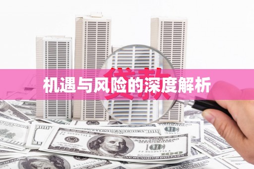 惠济机遇与风险的深度解析