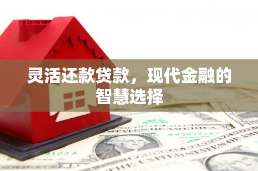 惠济灵活还款贷款，现代金融的智慧选择