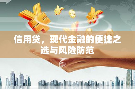惠济信用贷，现代金融的便捷之选与风险防范