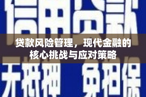 惠济贷款风险管理，现代金融的核心挑战与应对策略