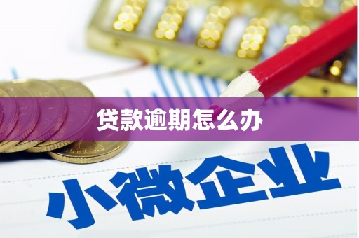 惠济贷款逾期怎么办