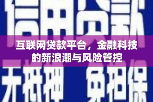 惠济互联网贷款平台，金融科技的新浪潮与风险管控