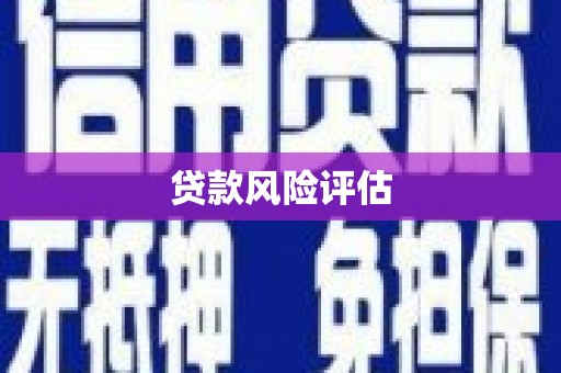 惠济贷款风险评估