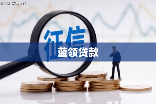 惠济蓝领贷款