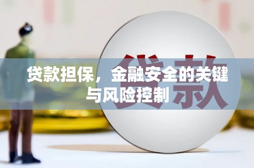 惠济贷款担保，金融安全的关键与风险控制